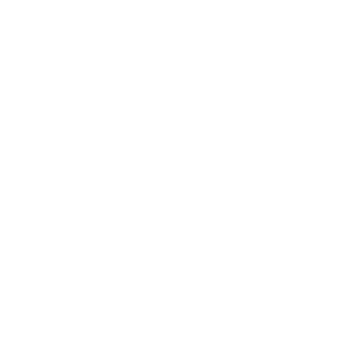 MEDICINA INTENSIVA